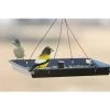 Stokes Select Hanging Feeders 3in1 Platform Bird Feeder 1 Stokes Select Hanging Feeders 3in1 Platform Bird Feeder