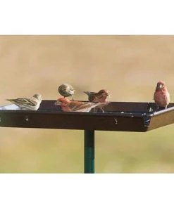 Stokes Select Hanging Feeders 3in1 Platform Bird Feeder