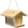 C&S Products Hanging Feeders Bluebird Feeder By C&S