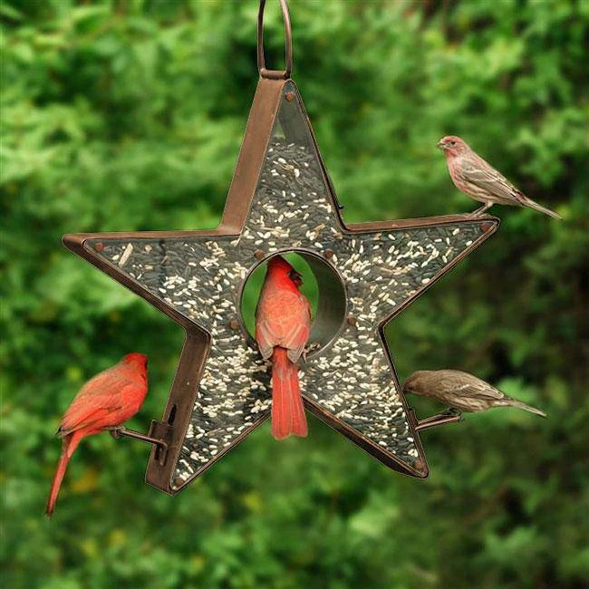 Good Directions Hanging Feeders Star Shaped Fly Through Bird Feeder 5 Good Directions Hanging Feeders Star Shaped Fly Through Bird Feeder