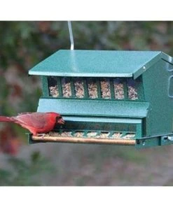 Heritage Farms Hanging Feeders Absolute Bird Feeder With Pole And Hanger