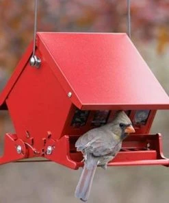 Heritage Farms Absolute II Mini Bird Feeder Hanging Feeders