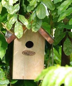 Esschert Design Antique Wash Wren House With Copper Colored Roof