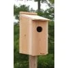 Woodlink Audubon Cedar Duck House Post / Pole Mounted Houses