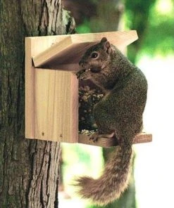 Woodlink Audubon Cedar Squirrel Munch Box Squirrels
