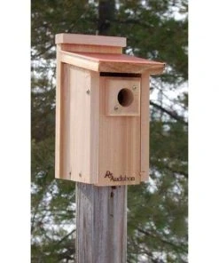 Woodlink Audubon Coppertop Bluebird House
