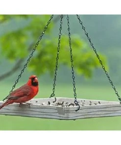 Woodlink Audubon Plant Fiber-Based Premium Hanging Platform Feeder