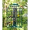Woodlink Cage Feeders Audubon Squirrel-Resistant Caged Tube Bird Feeder