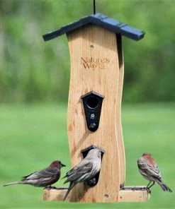 Nature's Way Hanging Feeders Bamboo Vertical Wave Hopper Bird Feeder