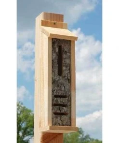 Uncle Dunkel Bark Clad Ladybug Or Butterfly House Butterflies