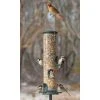 Aspects Hanging Feeders Big Tube Spruce Wild Bird Feeder