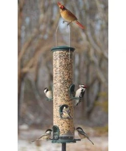 Aspects Hanging Feeders Big Tube Spruce Wild Bird Feeder