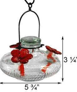 Parasol Bloom Hummingbird Feeder, Clear