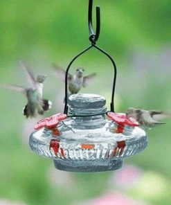 Parasol Bloom Hummingbird Feeder, Clear