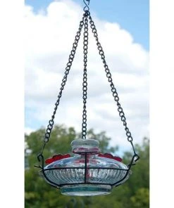 Parasol Bloom Hummingbird Feeder With Perch, Clear Hummingbird Feeders