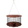Erva Tool & Die Caged Copper Colored Bluebird Feeder 1 Erva Tool & Die Caged Copper Colored Bluebird Feeder