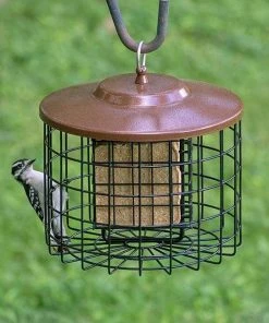 Stokes Select Cage Feeders Caged Double Suet Feeder, Brown