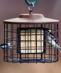 Stokes Select Cage Feeders Caged Double Suet Feeder, Brown