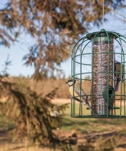 Esschert Design Cage Feeders Caged Tube Bird Feeder