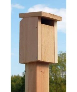 Songbird Essentials Cedar Sparrow-Resistant Bluebird House