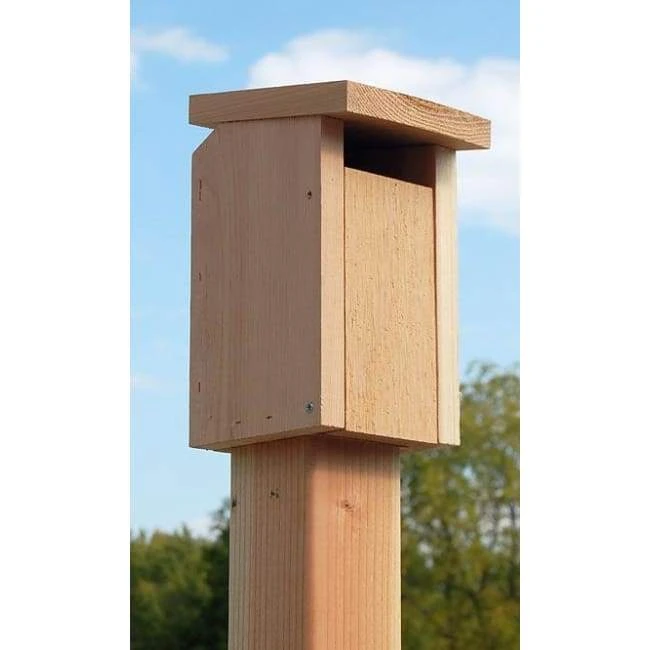 Songbird Essentials Cedar Sparrow-Resistant Bluebird House 3 Songbird Essentials Cedar Sparrow-Resistant Bluebird House