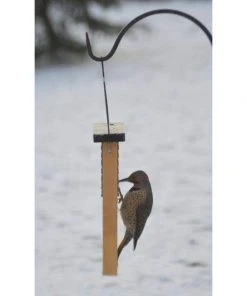 Nature's Way Cedar Suet Feeder With Tail Prop
