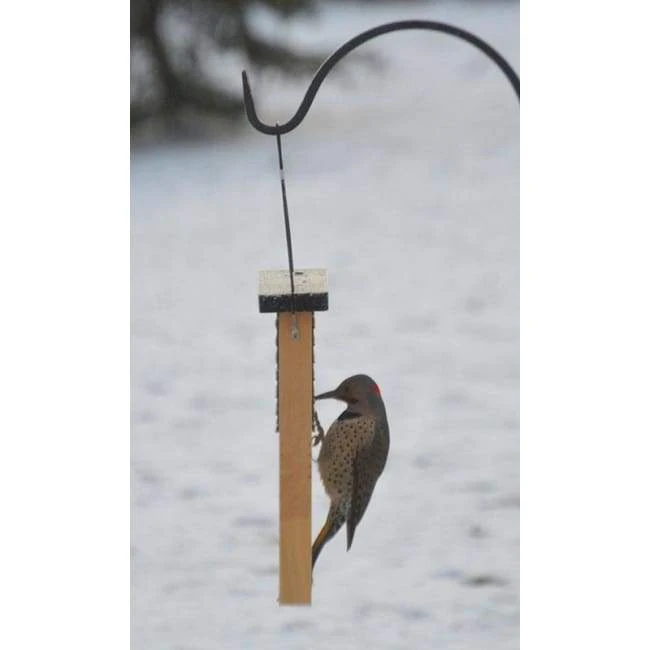 Nature's Way Cedar Suet Feeder With Tail Prop 4 Nature's Way Cedar Suet Feeder With Tail Prop