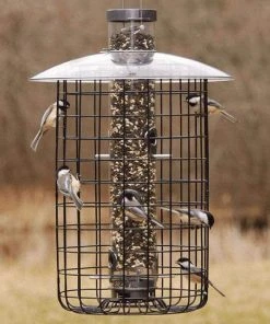 Droll Yankees B-7 Domed Cage And Squirrel Proof Bird Feeder Cage Feeders