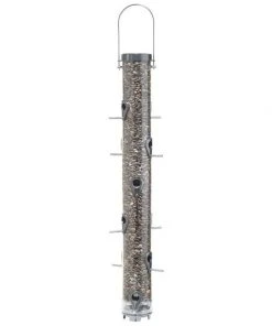 Hanging Feeders Droll Yankees Executive B-7 Bird Feeder