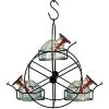 Parasol Hummingbird Feeders Ferris Wheel Hummingbird Feeder, Clear
