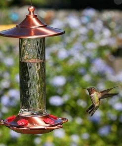 More Birds Glory Hummingbird Feeder Hummingbird Feeders