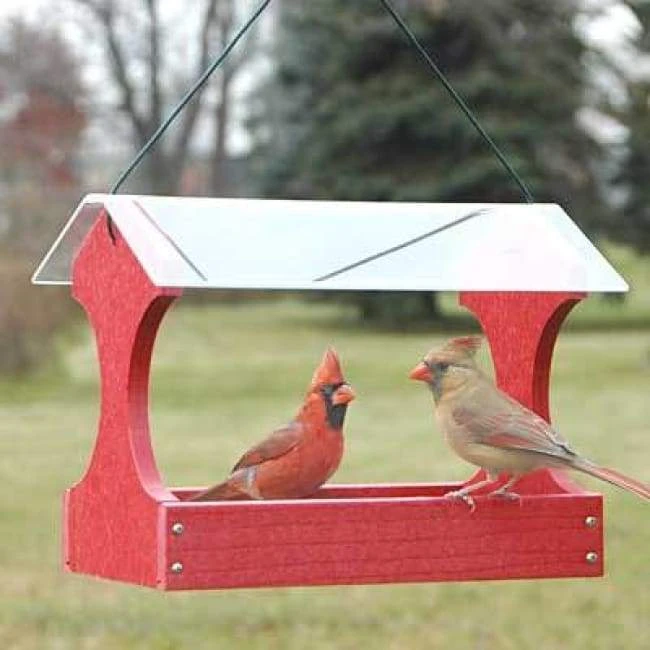 Woodlink Hanging Feeders Going Green Fly Through Bird Feeder, Red 3 Woodlink Hanging Feeders Going Green Fly Through Bird Feeder, Red