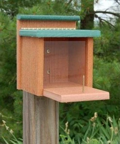 Woodlink Squirrels Going Green Squirrel Munch Box