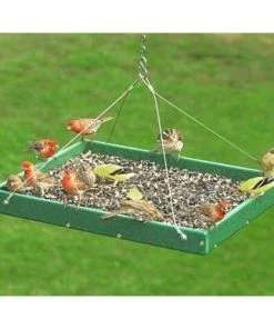 Songbird Essentials Hanging Platform Green Bird Feeder, Large Hanging Feeders 7 Songbird Essentials Hanging Platform Green Bird Feeder, Large Hanging Feeders