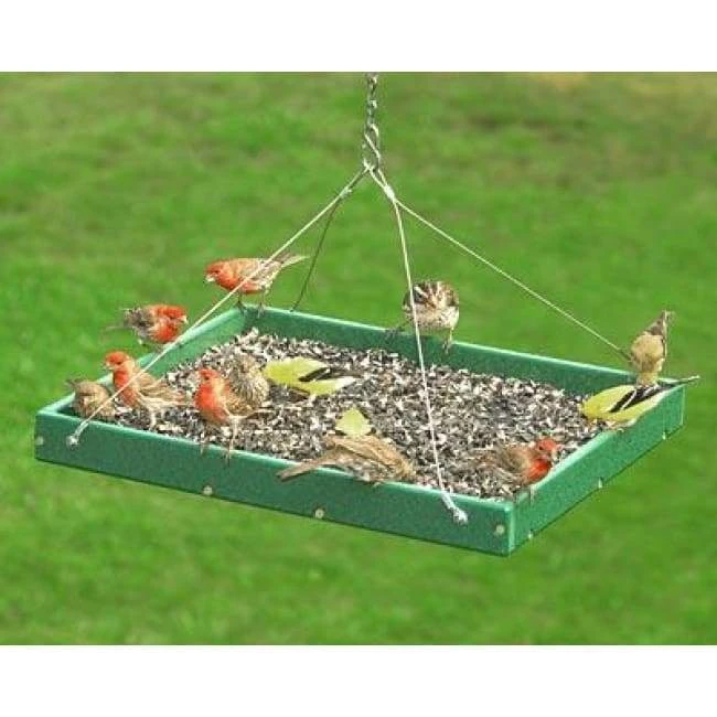 Songbird Essentials Hanging Platform Green Bird Feeder, Large Hanging Feeders 5 Songbird Essentials Hanging Platform Green Bird Feeder, Large Hanging Feeders