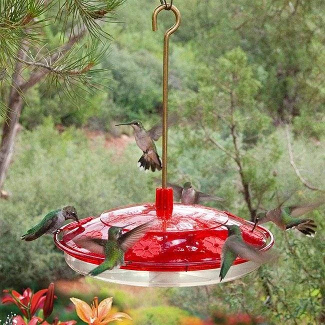 Droll Yankees Happy Eight-2 Hummingbird Feeder Hummingbird Feeders 3 Droll Yankees Happy Eight-2 Hummingbird Feeder Hummingbird Feeders