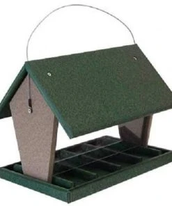 Songbird Essentials Hopper Green And Brown Bird Feeder, Large