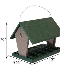 Songbird Essentials Hopper Green And Brown Bird Feeder, Large