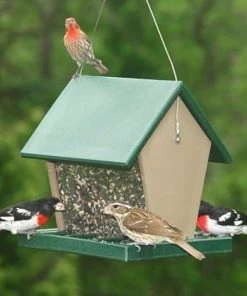 Songbird Essentials Hopper Green And Brown Bird Feeder, Medium Hanging Feeders