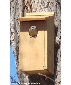 Woodlink Kestrel And Screech Owl House