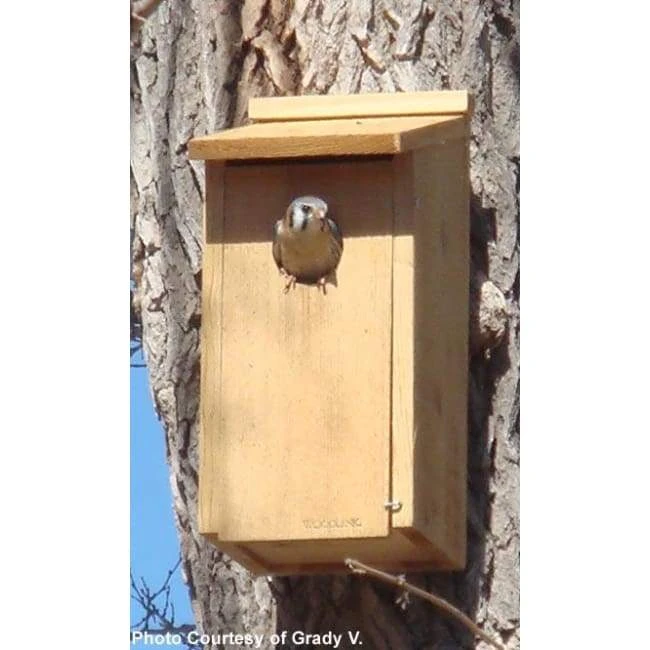 Woodlink Kestrel And Screech Owl House 3 Woodlink Kestrel And Screech Owl House