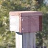 Looker Products Post Cap Bird House Accessories 1 Looker Products Post Cap Bird House Accessories