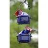 Parasol Lunch Pail Hummingbird Feeder, Small, Blue Hummingbird Feeders 1 Parasol Lunch Pail Hummingbird Feeder, Small, Blue Hummingbird Feeders