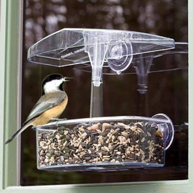 Droll Yankees Window Feeders Observer Window Bird Feeder 3 Droll Yankees Window Feeders Observer Window Bird Feeder