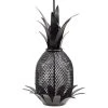 Achla Decorative Feeders Pineapple Bird Feeder