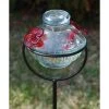 Parasol Pot De Creme Staked Hummingbird Feeder, Clear