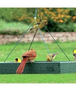 Woodlink Recycled Plastic Platform Bird Feeder Hanging Feeders