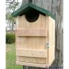 Looker Products Screech Owl And Kestrel House