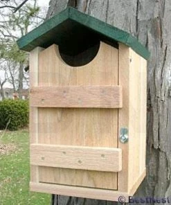 Looker Products Screech Owl And Kestrel House