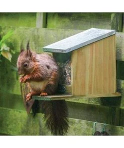 Squirrel Feeder By Esschert Design 13 Squirrel Feeder By Esschert Design
